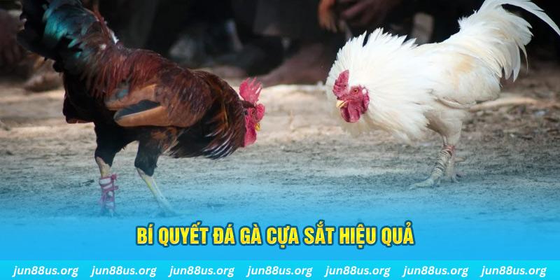 code 88 nổ hũ may mắn