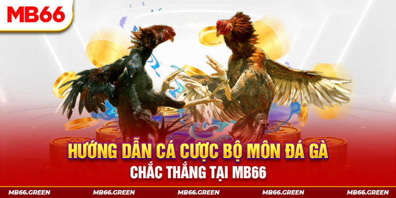 code 88 xổ số miền nam hôm nay