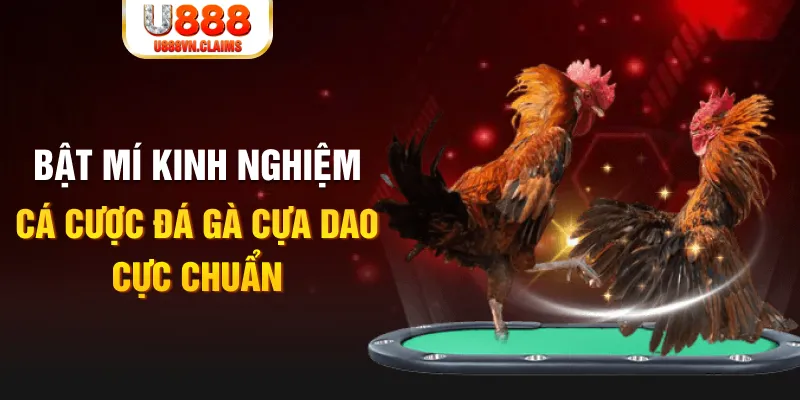 code 88 casino hồ tràm có cho người việt vào không