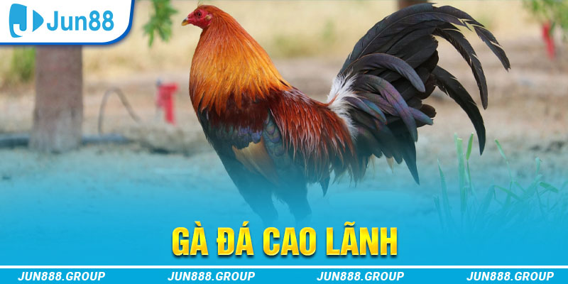code 88 tai game vua bai ve may tinh