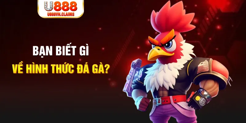 code 88 đăng nhập liêng tặng tiền
