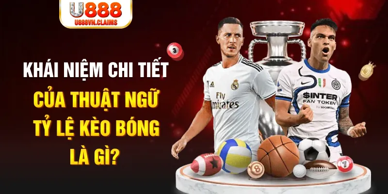 code 88 Long Hổ 2