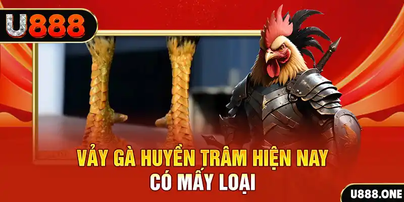 code 88 đăng nhập nổ hũ miễn phí