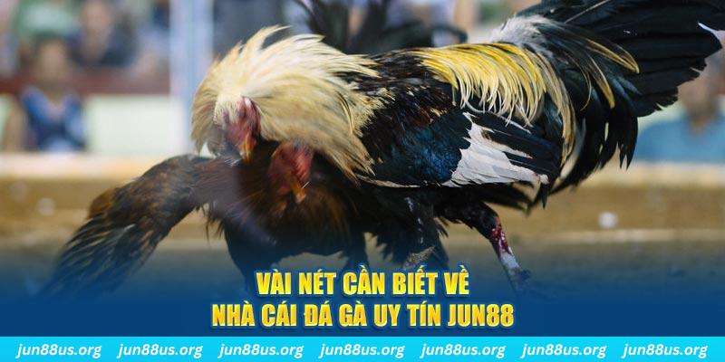 code 88 trò máy bay nổ hũ