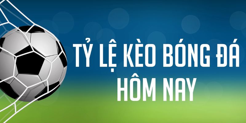 code 88 đăng nhập phỏm