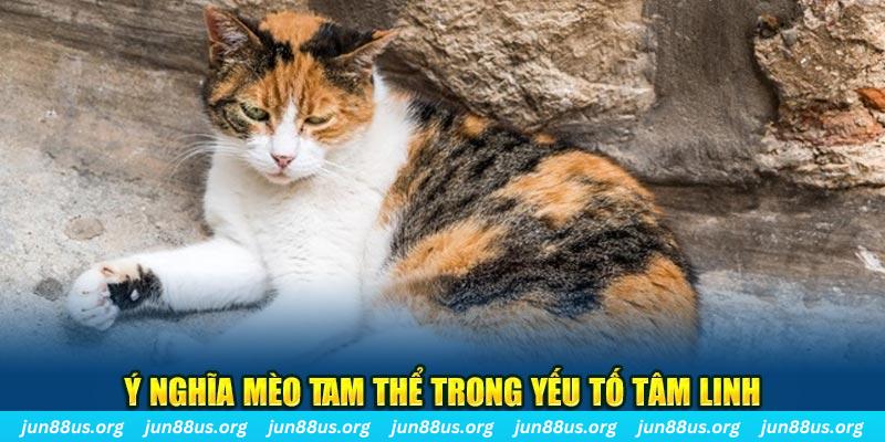 code 88 máy slot game là loại trò chơi gì？