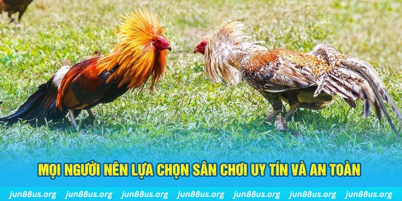 code 88 đăng nhập poker 2025