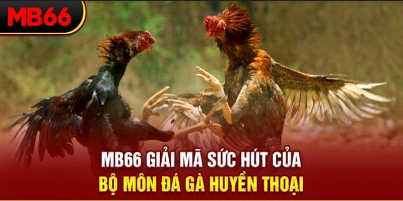 code 88 xổ số đài bắc