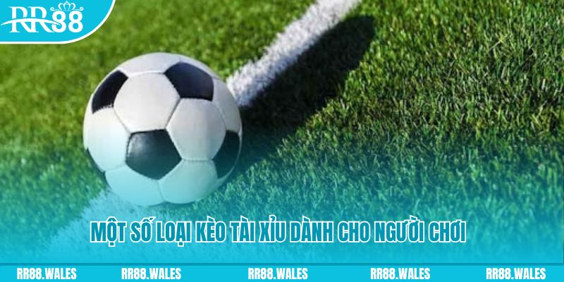 code 88 slot nghĩa là gì
