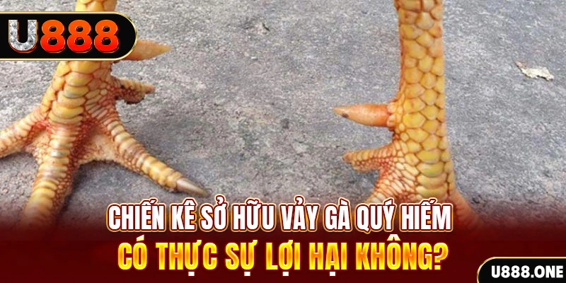 code 88 xổ số miền trung