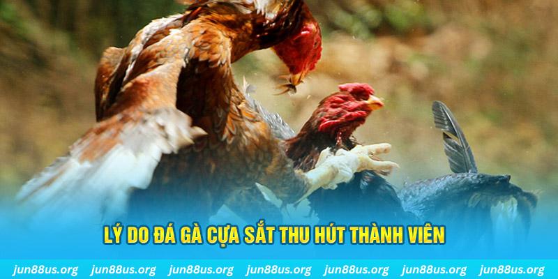 code 88 nổ hũ ăn bao nhiêu