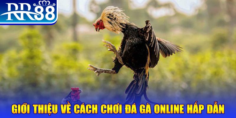 code 88 EvoPlay Điện Tử
