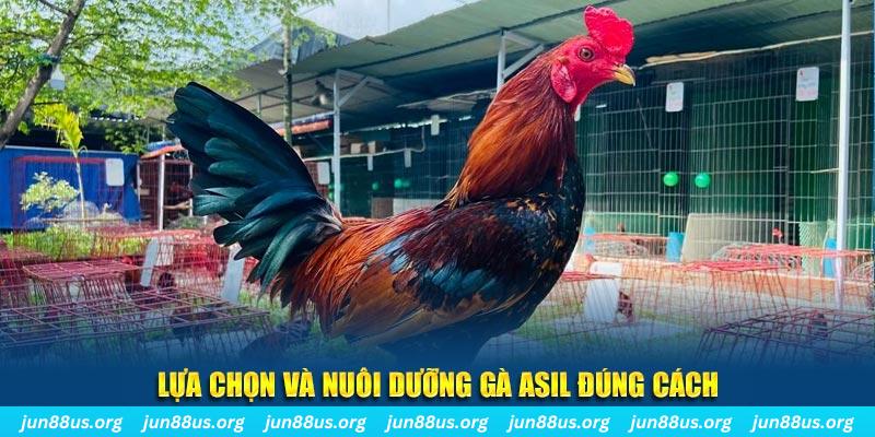 code 88 nổ hũ thần tài là gì