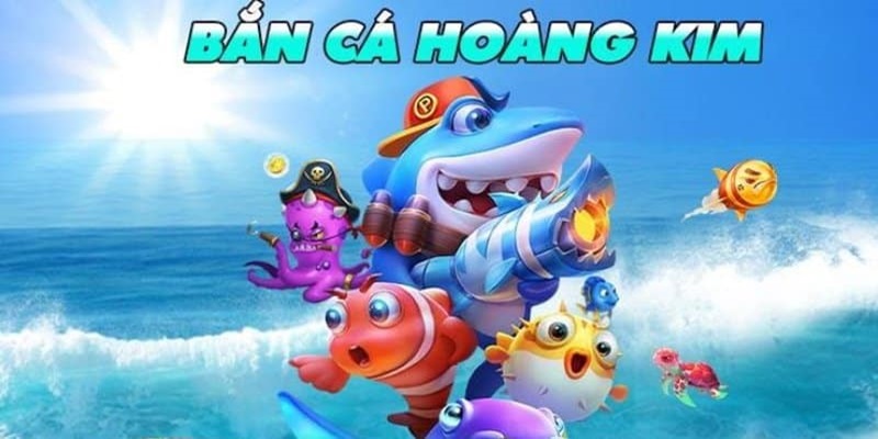 code 88 IM Thể Th