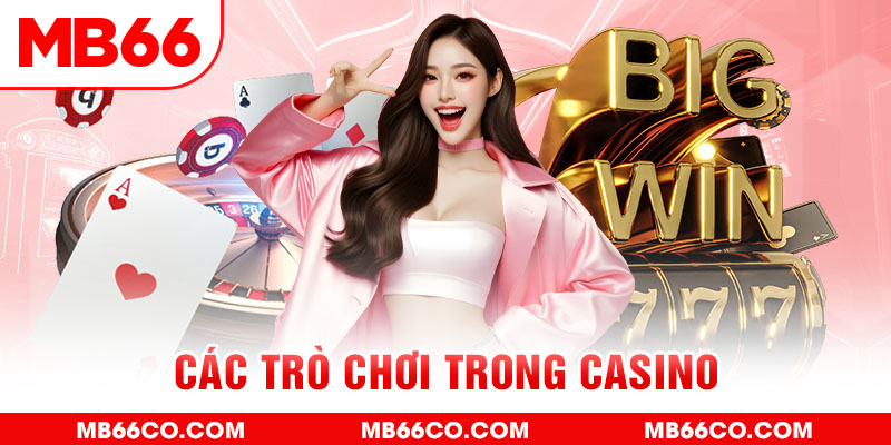 code 88 chổi lông gà