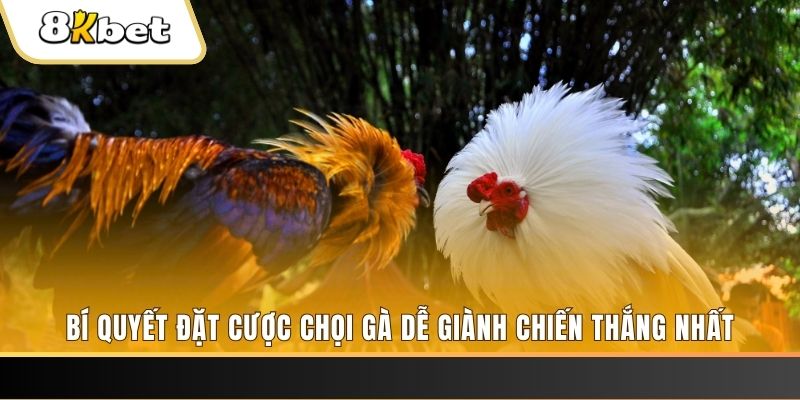 code 88 nổ hũ chơi như thế nào