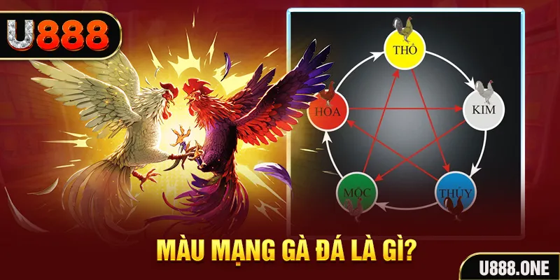 code 88 V8 Game Bài 3d