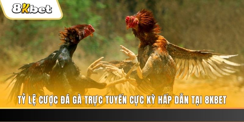 code 88 xổ số miền bắc chủ nhật