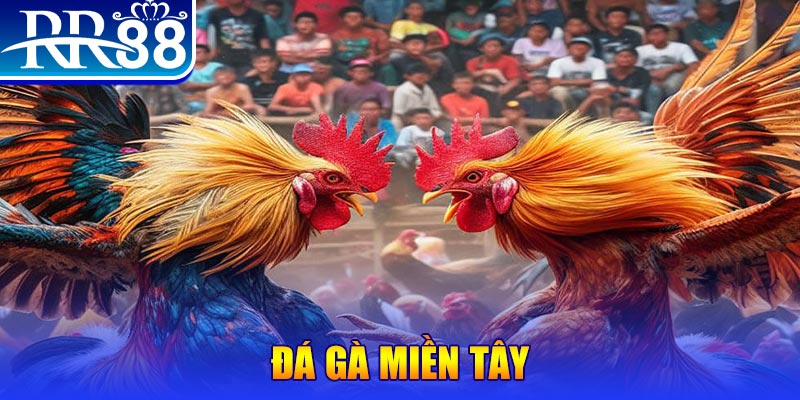 code 88 đăng nhập liêng đổi thưởng