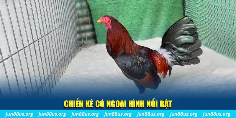 code 88 qq88 bắn cá