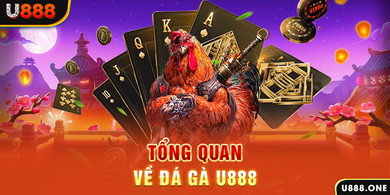 code 88 xổ số vietlott