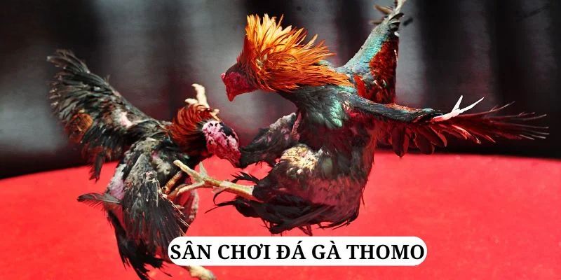 code 88 quay nổ hũ là gì