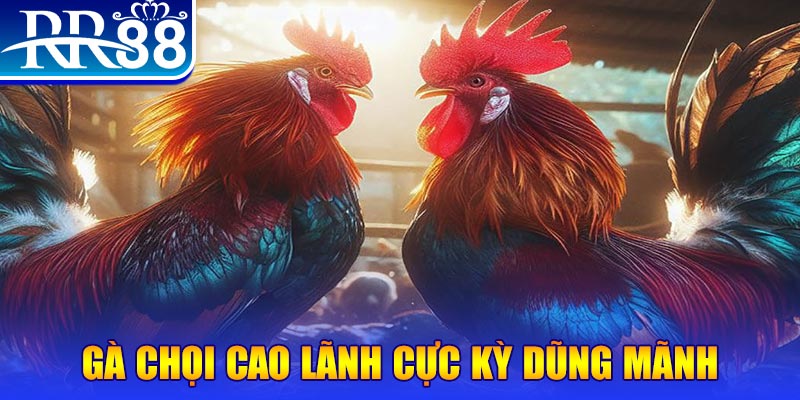 code 88 đăng nhập poker live